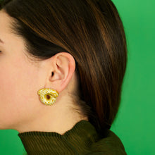 Load image into Gallery viewer, TARALLO EARRINGS PYTHON

