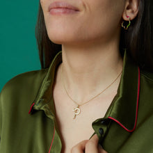 Load image into Gallery viewer, P
