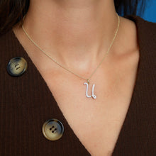 Load image into Gallery viewer, U
