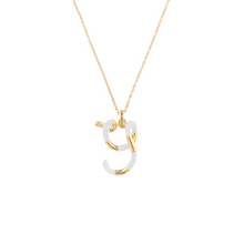 Load image into Gallery viewer, Y
